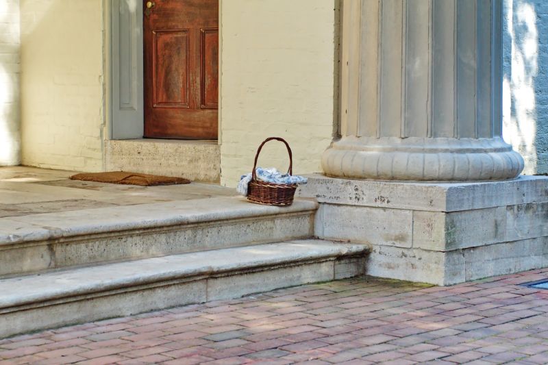 Professional Consultation